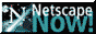 88x31 button: Realm netscape