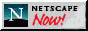 88x31 button: Rhodes icon netscape