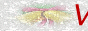 88x31 button: River view