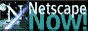88x31 button: RodeoDrive netscape
