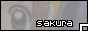 88x31 button: SakuraDreamerKawaii sakdrekaw