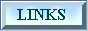 88x31 button: Screen blinks