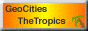 88x31 button: Shores geotropics