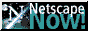 88x31 button: Shores netnow3