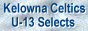 88x31 button: Sideline donita1