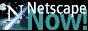 88x31 button: SiliconValley netscape