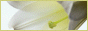88x31 button: Spa lilylink