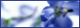 88x31 button: Spa link7