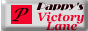 88x31 button: Speedway papvlane
