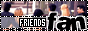 88x31 button: SpotsAngel33 FriendsFanlisting
