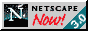 88x31 button: Square netscapenow