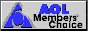 88x31 button: Studio aol