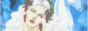 88x31 button: Suite nami s1