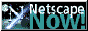 88x31 button: SunsetStrip Palms netscape