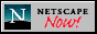 88x31 button: SunsetStrip netscape
