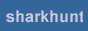 88x31 button: Theater sharkhunt