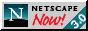88x31 button: TimesSquare NETNOW30