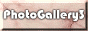 88x31 button: Village 3