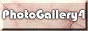 88x31 button: Village 4
