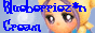 88x31 button: Village button