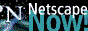 88x31 button: Village netscap4