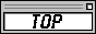 88x31 button: Village topb