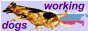 88x31 button: Woods s wdogs bann
