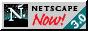 88x31 button: Yosemite netscape