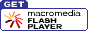 adobe flash get