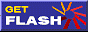adobe getflash2