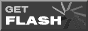 adobe getflash3