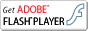 adobe getflash4