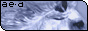 88x31 button: aeternum design link1