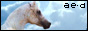 88x31 button: aeternum design link2