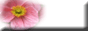 88x31 button: alittlebook 1