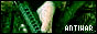 88x31 button: andmyimmortal antiwar