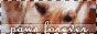 88x31 button: andmyimmortal pawsforever