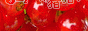 88x31 button: angelkwong jucherrylove