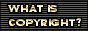 88x31 button: angelpaints copyrightblack