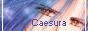 88x31 button: animaechina s links hhbutton