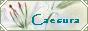 88x31 button: animaechina s links reibutton1