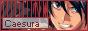 88x31 button: animaechina s links tnebutton2
