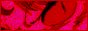 88x31 button: anime glam inuyasha button1
