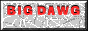 88x31 button: bd1