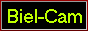 88x31 button: bielcam