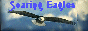 88x31 button: bigjk83 eaglebutton