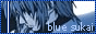 88x31 button: blue sukai bs button 01