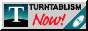 88x31 button: bridge turnnow
