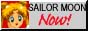 88x31 button: bsailor