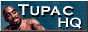 button tupachq1
